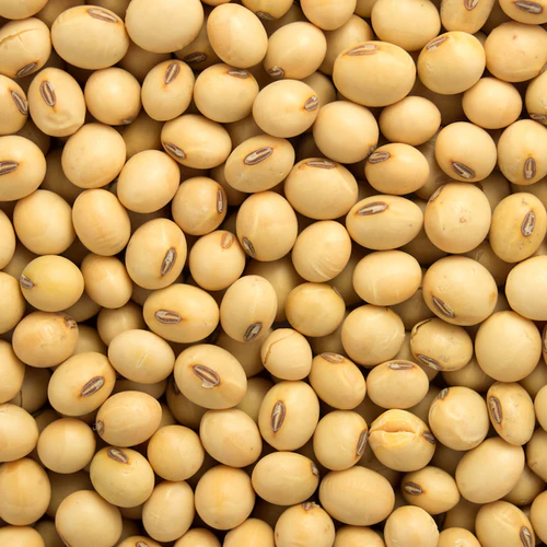 Projects Soyabean